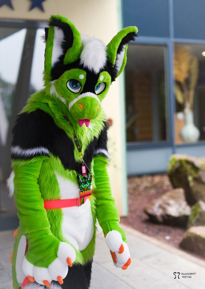 Dargo the Dragon (@dargothedragon_) on Twitter photo What's that on the bottom?
Oh.. it's you ๐๐ #FursuitFriday
๐ท <a href="/BlackspotYeetah/">Blackspot-Yeetah</a> What's that on the bottom?
Oh.. it's you ๐๐ #FursuitFriday
๐ท <a href="/BlackspotYeetah/">Blackspot-Yeetah</a>