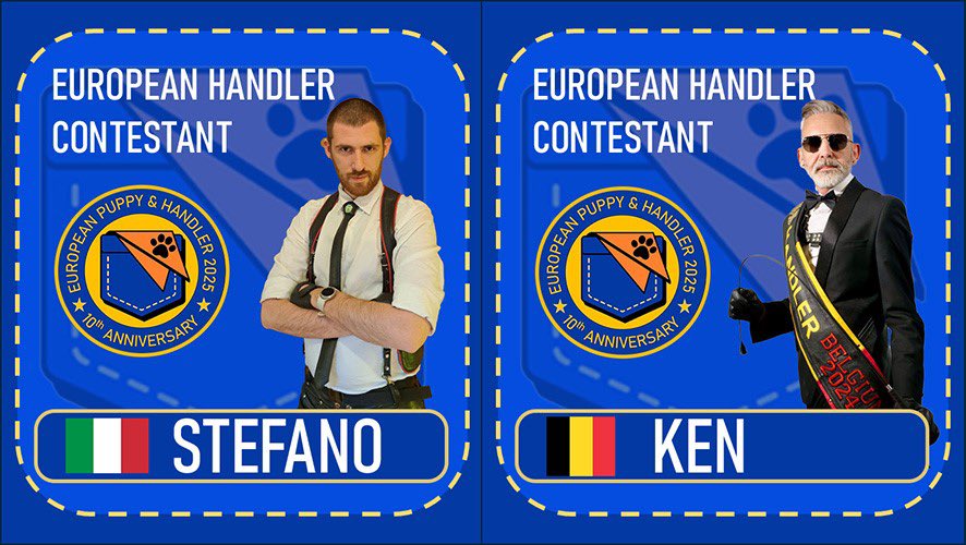 vote for your favourite on forms.gle/QPgweU1PZvEFhK…… until Friday 21st February 2025 23:59 GMT