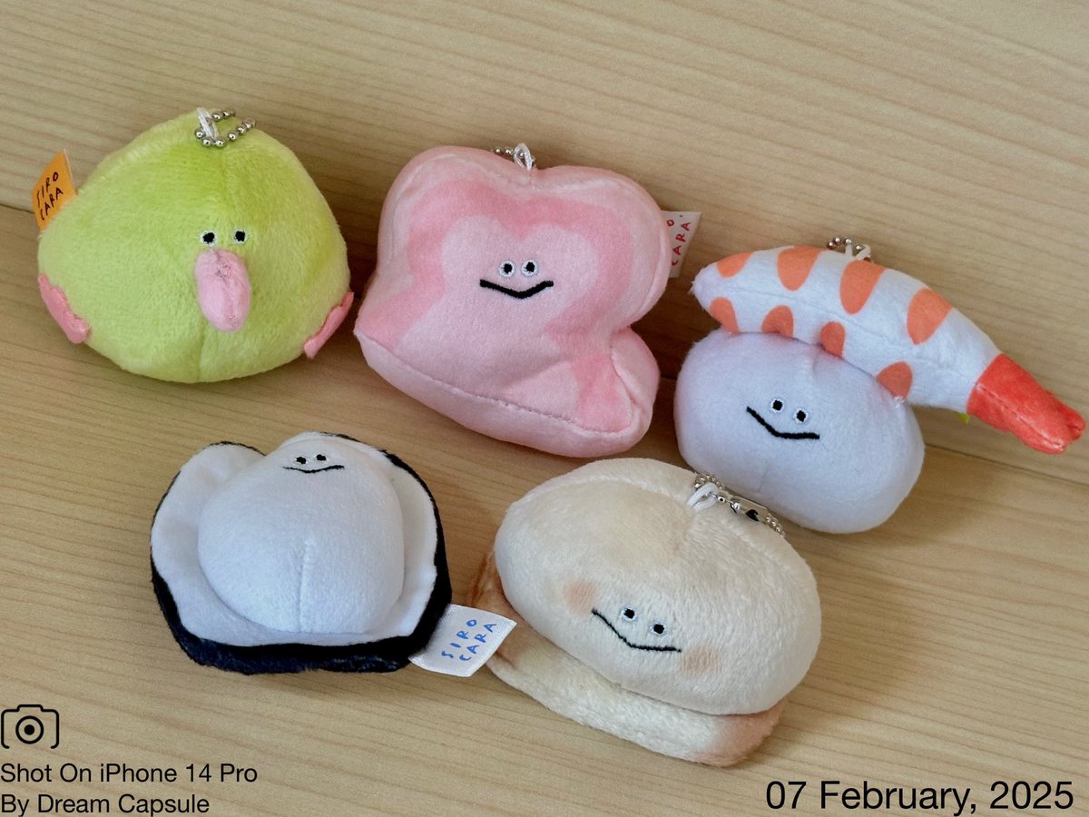 🌟新入荷ガチャ商品プレゼントCP🌟 人気陶芸作家SIROCARAさんの人気
