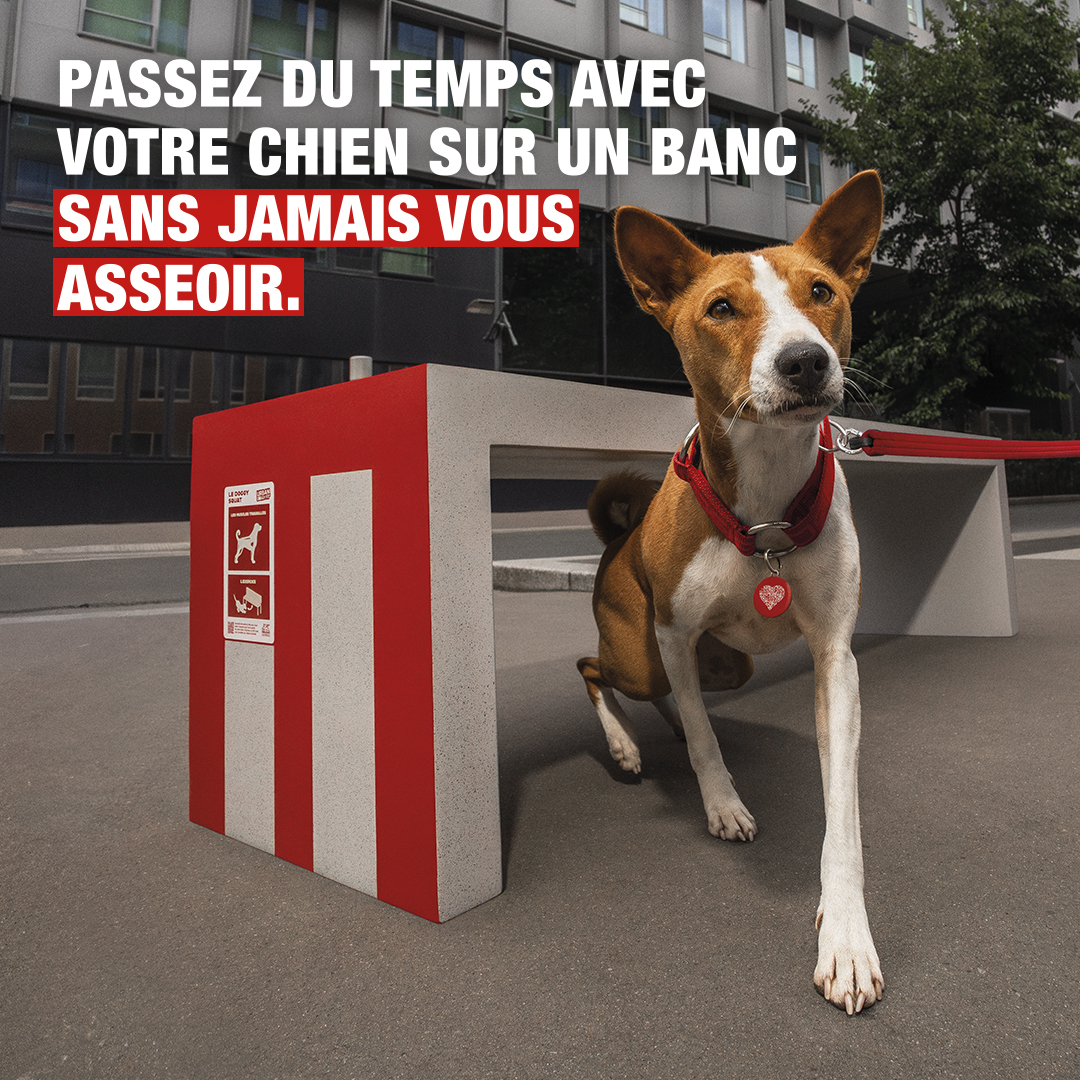 Generali France (@generalifrance) on Twitter photo Avec la <a href="/SPA_Officiel/">La SPA France</a> et #NatureDeChien nous avons transformé les bancs, poteaux et lampadaires en salle de sport pour chiens !
Découvrez nos tutos ! 💪
🔗 generali.fr/urban-doggy-fi…
#urbandoggyfit #pets #sport #doglover Avec la <a href="/SPA_Officiel/">La SPA France</a> et #NatureDeChien nous avons transformé les bancs, poteaux et lampadaires en salle de sport pour chiens !
Découvrez nos tutos ! 💪
🔗 generali.fr/urban-doggy-fi…
#urbandoggyfit #pets #sport #doglover