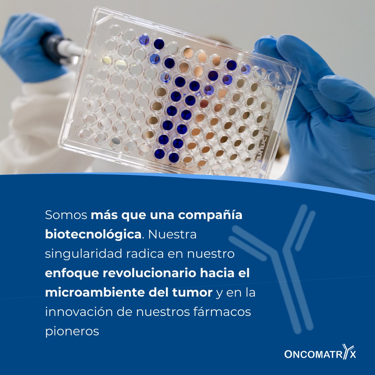 Somos una biotecnológica en fase clínica, pionera en el abordaje del microambiente tumoral.

Llevamos más de una década desarrollando fármacos de precisión para transformar el tratamiento de tumores sólidos metastásicos agresivos. Descúbrelo en <a href="/elconfidencial/">El Confidencial</a> ⬇️