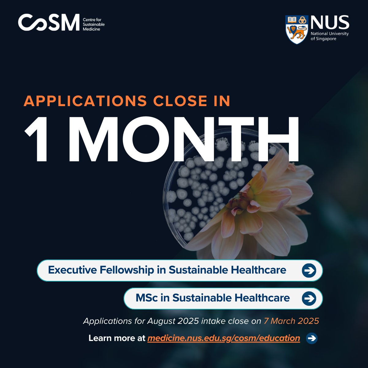 SustainCoSM's tweet image. 📢 Applications to our MSc in Sustainable Healthcare and Executive Fellowship close in 1 month. Elevate your career— join us for this exciting net zero journey in healthcare.
Apply now! ➡️ medicine.nus.edu.sg/cosm/education/
#SustainableHealthcare #MScProgram #GraduateStudies