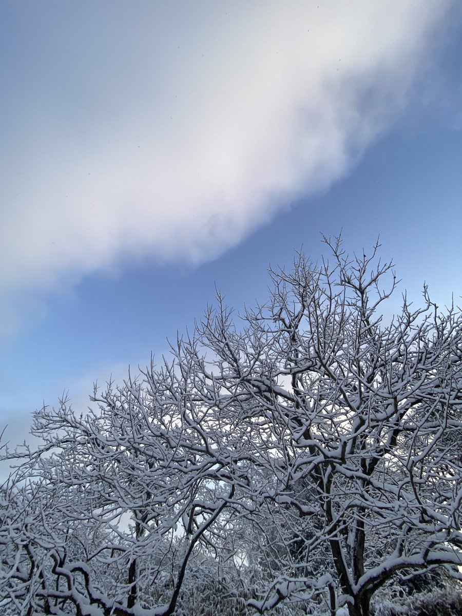 「いってきます！」
元気に出た小1息子。

パッとみると玄関にある長靴…
なんと雪の中、靴で登校した😂なんでやー！

びちゃびちゃになる
「これも経験だよね」
そのまま様子見！

が、我慢できず学校に電話。

無事に先生のアシストによりストーブで靴下を乾かせたようです。

濡れる経験はしたね😂