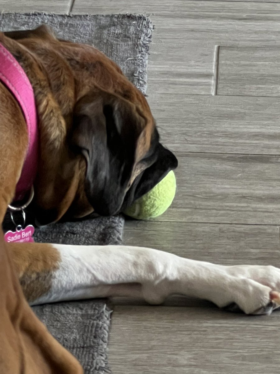 She took my 🎾 🤬😡😖