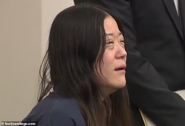 Libs of TikTok tweet media