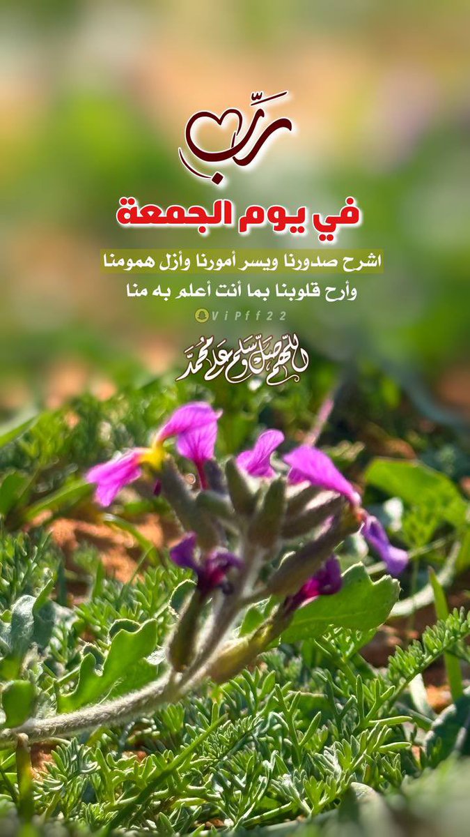 fahed1209's tweet photo. #يوم_الجمعه

اللهم في يوم الجمعة نسألك صحائف أعمال يملؤها رضاك وعفوك وغفرانك وقلوب تنبض بذكرك وأمنيات تتحقق وتوفيقًاً من عندك ، إنك على كل شيء قدير 🌹🌹 https://t.co/e1g2i3ATtW