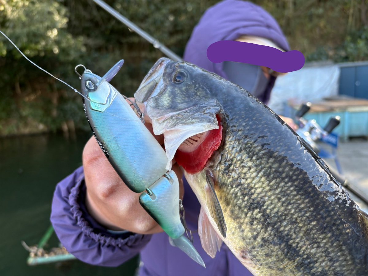 JokerSeraphy's tweet photo. 強風の中MAVなう！

TIK Fish！オリカラ
FL CLEAR MATT入魂
DWでドン！
バスくん、超冷て〜〜😂

#DRT
#タイニークラッシュ
#TINYKLASH
#Fishオリカラ
#FLCLEARMATT
#リップイン
#modeB https://t.co/hkRWJ5swVQ