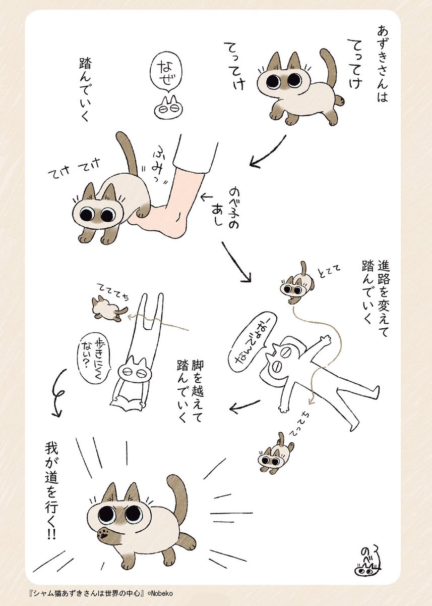 4/4 