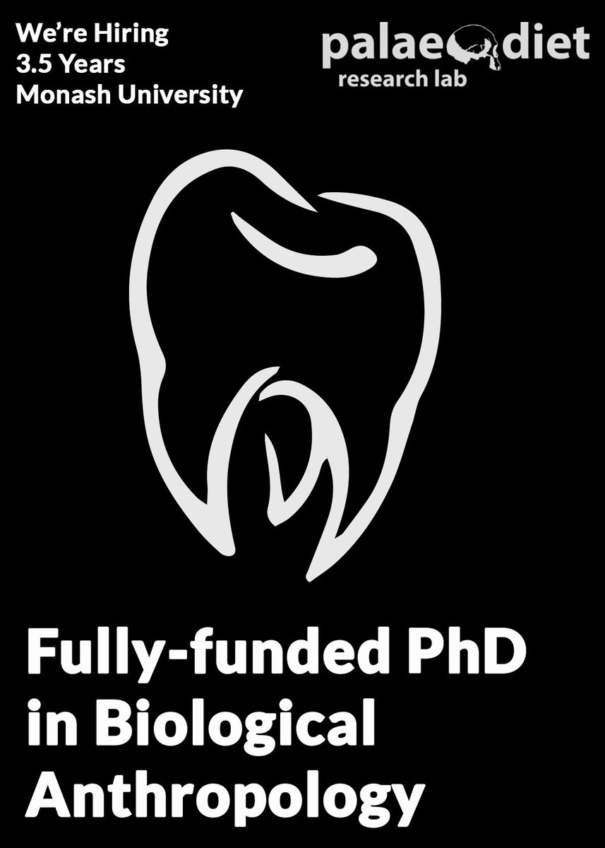 Palaeodiet Research (@palaeo_diet) on Twitter photo Exciting #PhD opportunity in biological anthropology with a fully funded scholarship (3.5 years) at <a href="/MonashUni/">Monash University</a>. Join us to study form and function of primate dental enamel. For more info visit the Palaeodiet Research Lab website: palaeodiet.org/opportunities/ Deadline 2 March 2025 Exciting #PhD opportunity in biological anthropology with a fully funded scholarship (3.5 years) at <a href="/MonashUni/">Monash University</a>. Join us to study form and function of primate dental enamel. For more info visit the Palaeodiet Research Lab website: palaeodiet.org/opportunities/ Deadline 2 March 2025