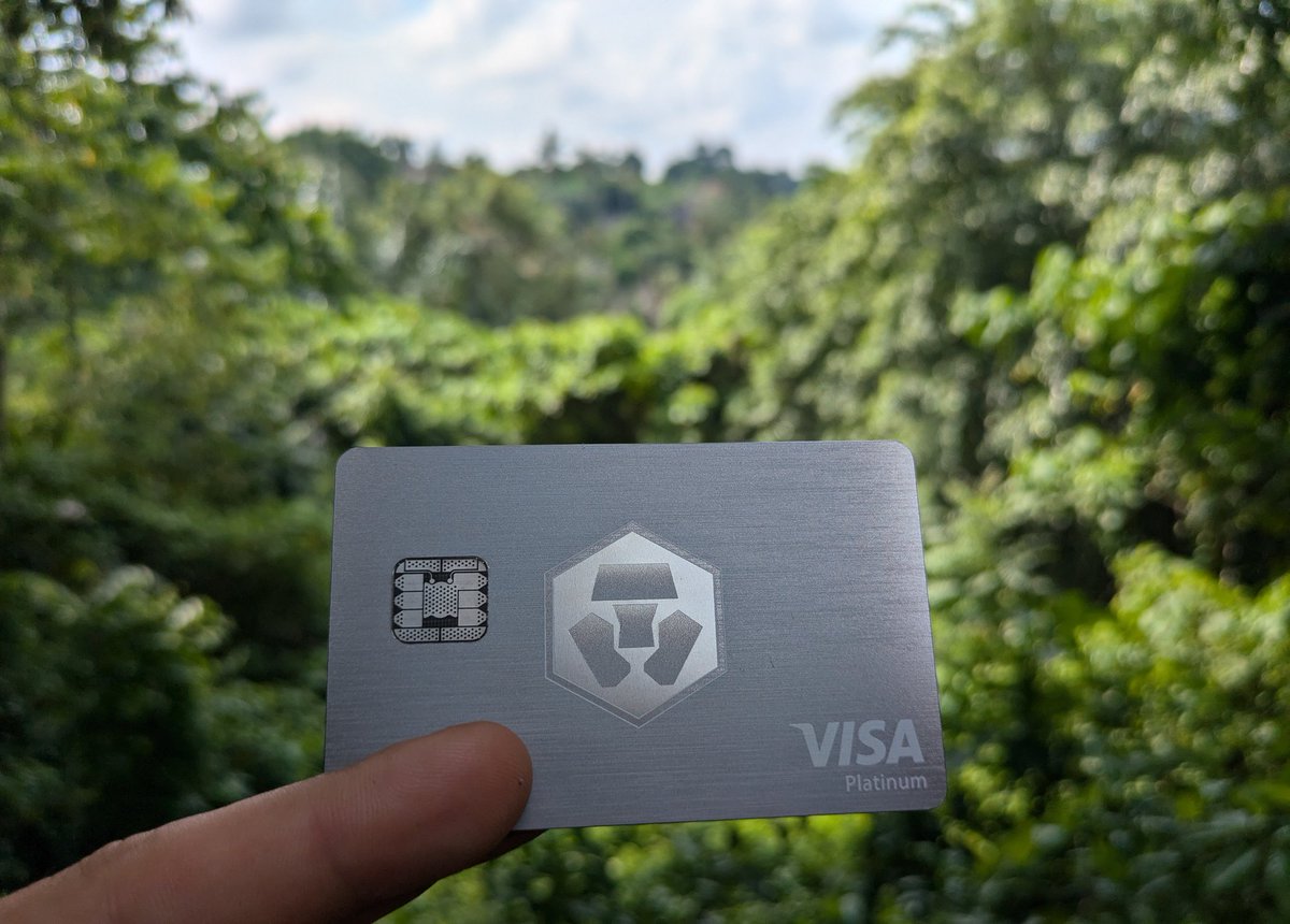 cryptocom's tweet photo. Accepted (almost) everywhere. 
📷 : @LoadedLion6418 https://t.co/odWcXvwnTM