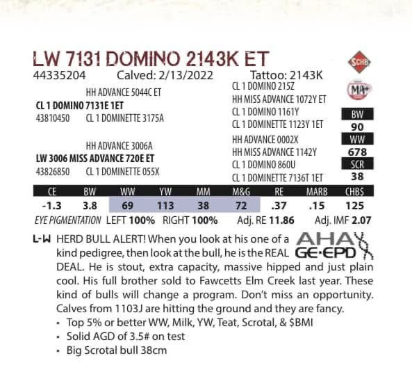 MoYield's tweet image. Semen packages available on 2143K. A line one pedigree with a very powerful set of calves in the lot right now. Registered to commercial programs he will please all. PM for more info!