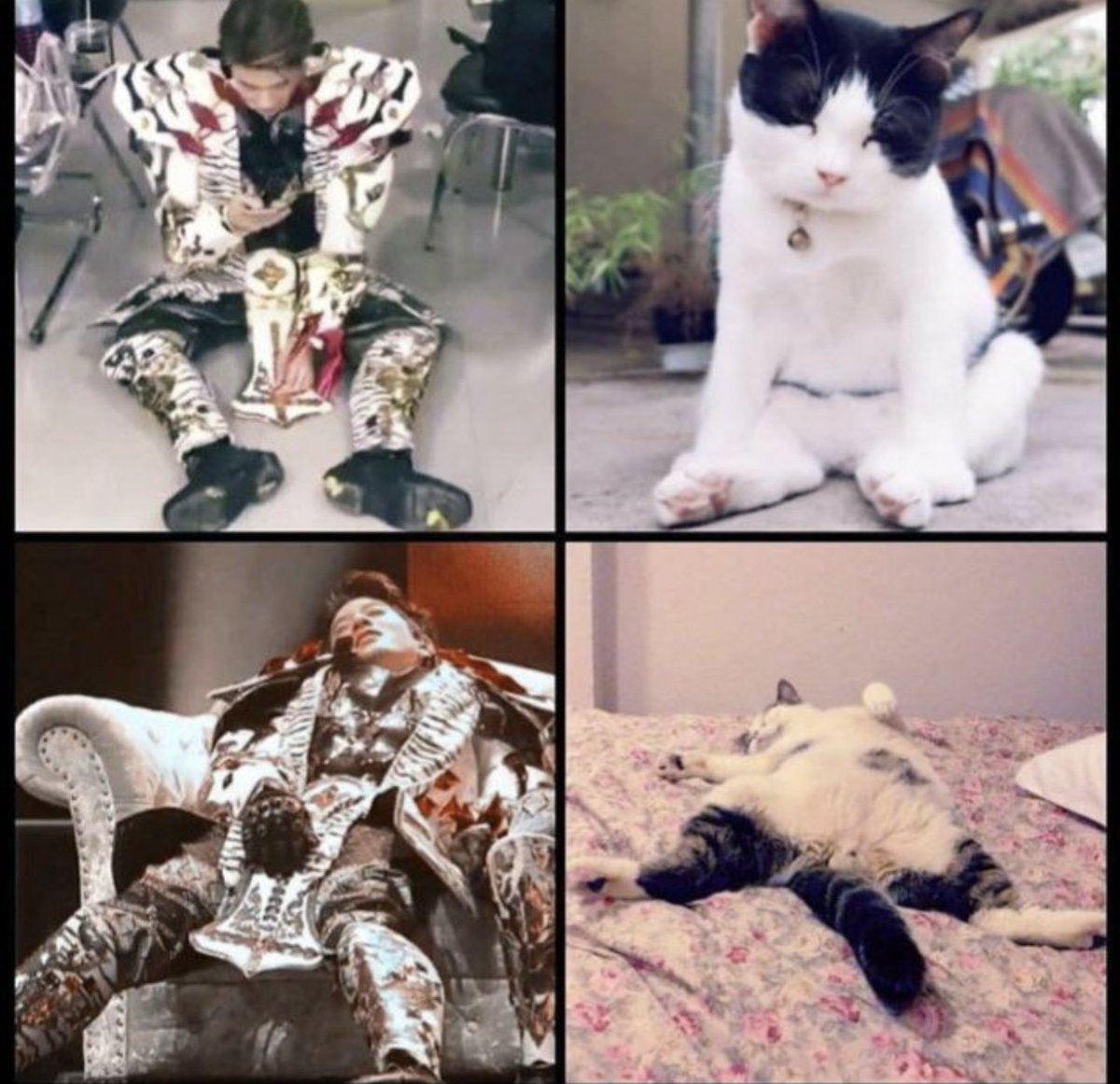 :น้องเช่ตอนรู้สีที่ตัวเองได้
:ตอนเห็นสมาชิกสีตัวเอง
อดทนนะลูก😂
#XXSIVK #PorscheSivakorn 
#OLYMPOP2025 #OLYMPOP
#PEPSIpresentsOLYMPOP