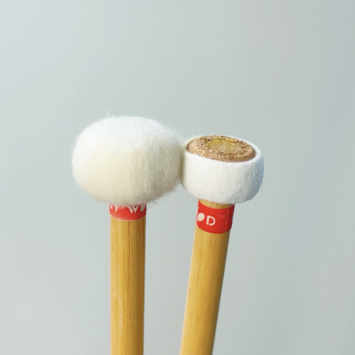 青島未知 tweet media