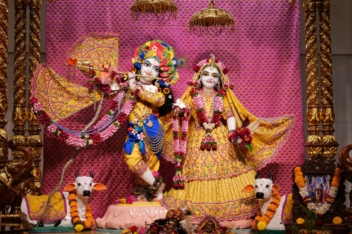 ISKCONPune's tweet photo. 🙏🏽Today's Darshan 📿 🗓07-02-2025🙏
🌷Sri Sri Radhavrindavanchandra🌷
🚩@ISKCONNVCCPune🚩
.
.
#ISKCONNVCC #ISKCONPune #ISKCONNVCCPune #ISKCON
#kumbhmela2025 #kumbhmela #Prayagraj 
#PrayagrajMahakumbh2025 #7thfebruary #7thfebruary2025
#Friday #Harinaamsankirtan #Radheshyamdas https://t.co/V1bsrQskuE