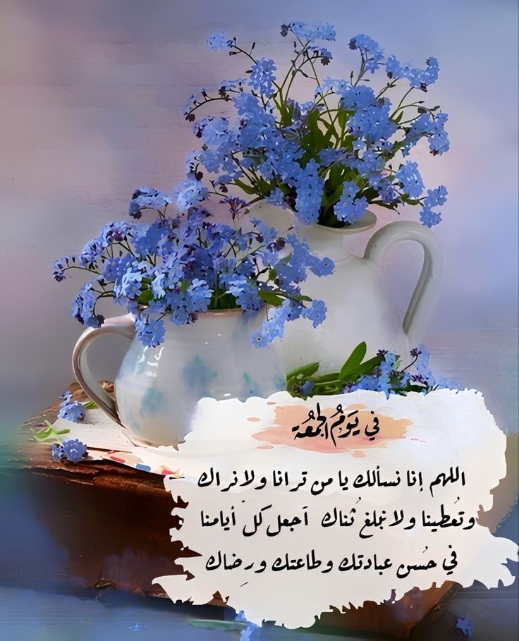 Lalmahmeed's tweet photo. جمعـة طيبـة مبــاركة 🌹🍃 https://t.co/UIWZuPuuXX