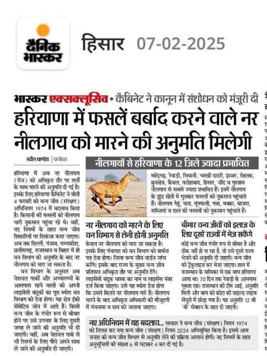 ये बेहद निंदनीय है <a href="/cmohry/">CMO Haryana</a> 💔

क्या सरकार के पास नीलगाय को मारने के अलावा कोई उपाय नहीं मिला?

इंसानियत दिनोदिन खत्म होती जा रही है जहां इंसान अपने स्वार्थ के लिए जीवों को मारने का कानून बनाएं 

<a href="/PetaIndia/">PETA India</a> आपसे अपील है इसके समक्ष आवाज उठाएं 

नीलगायों को मारने का हक किसी को नहीं