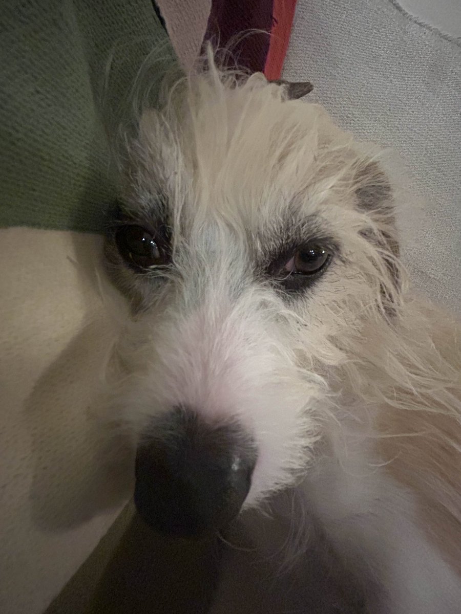 Trying to stay awake so I can read one more chapter (i’m not gonna remember it in the morning)