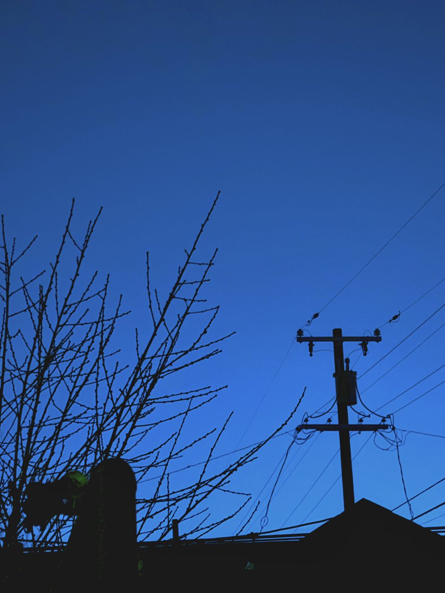 orbriz's tweet image. 