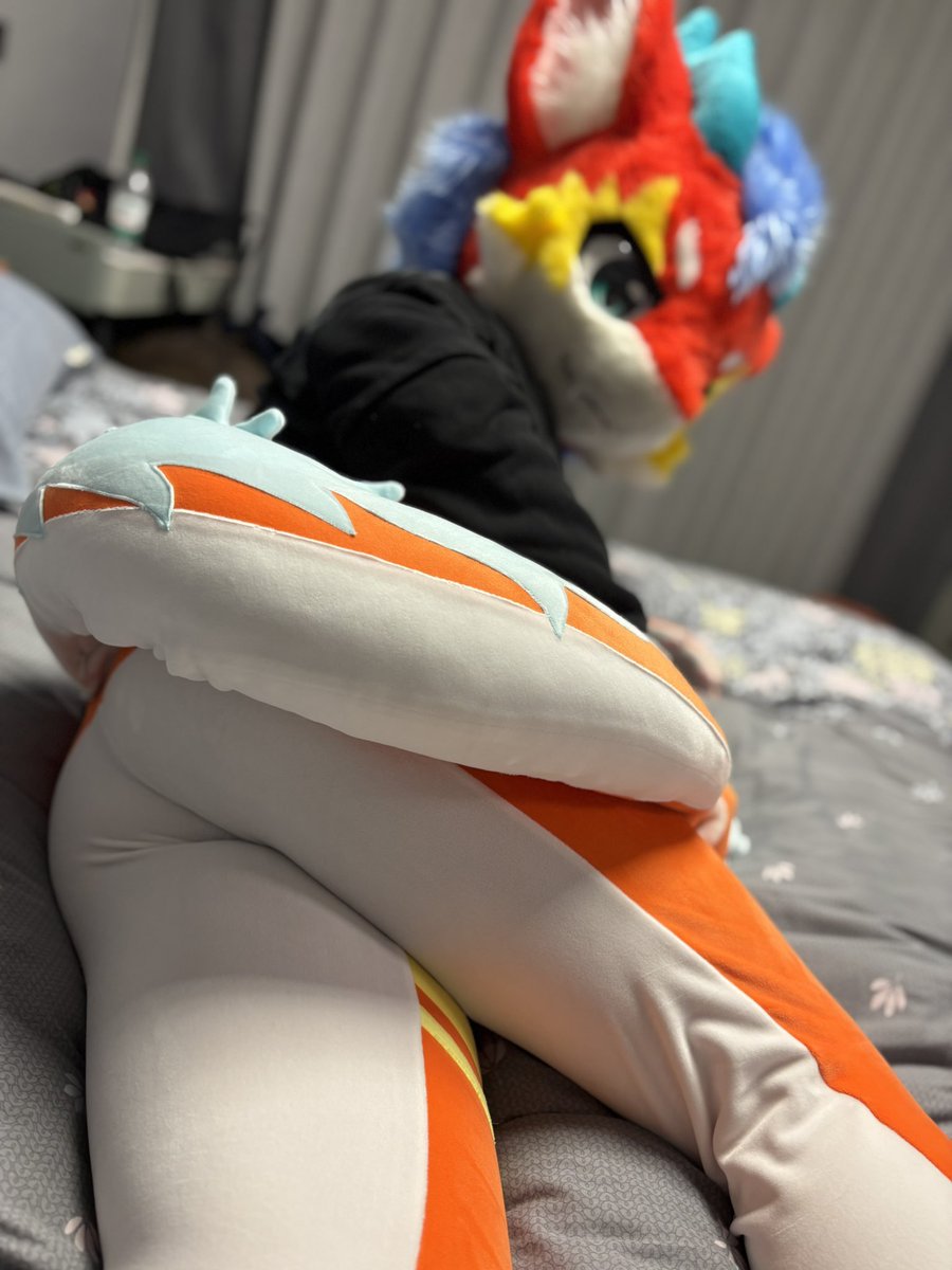 你在看哪里呢！
 #FursuitFriday
📷：<a href="/Jeno520573/">杰诺Jeno</a>