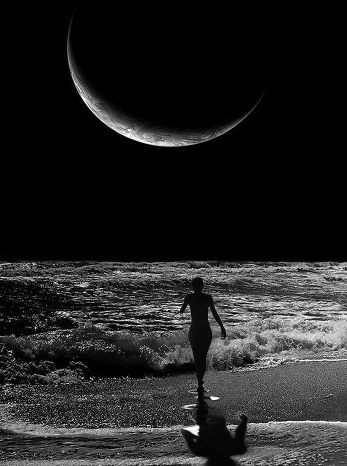 Una solitudine pura e una pace profonda.

 Haruki Murakami 🖋

#LaVoceDellaLuna
#SalaLettura
<a href="/SalaLettura/">©️ Il Caffè Letterario</a>