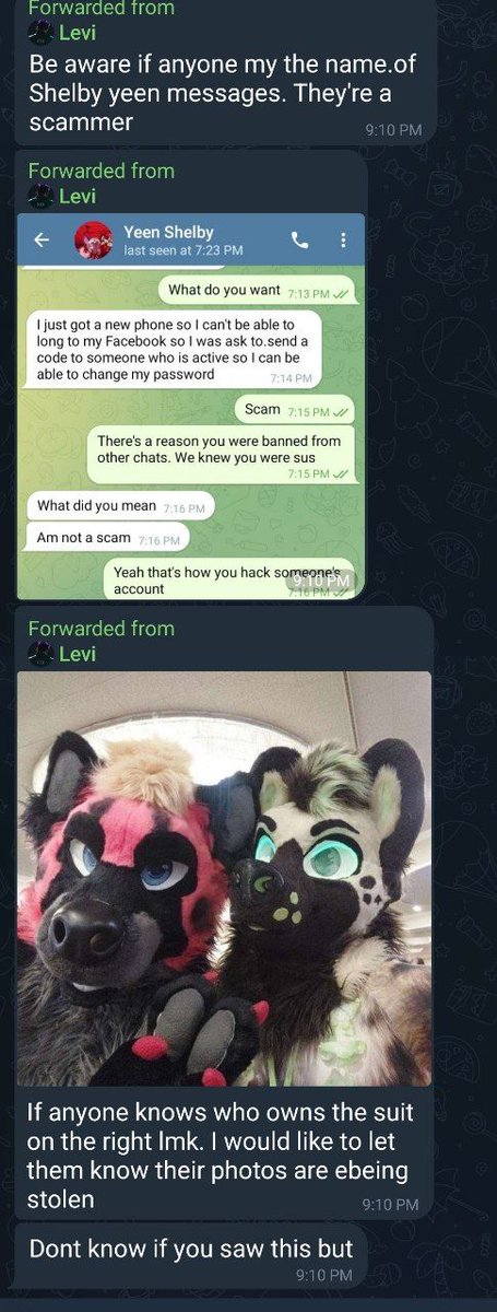 Xc_Yeen's tweet photo. Just letting yall know ignore "Shelby Yeen" they are using my sona as a scam account. https://t.co/FBdOWD5Kz1