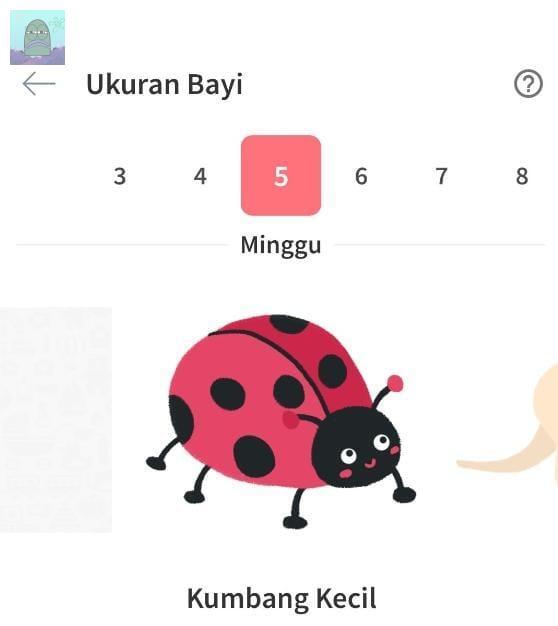 Tanyarl 💚 tweet media