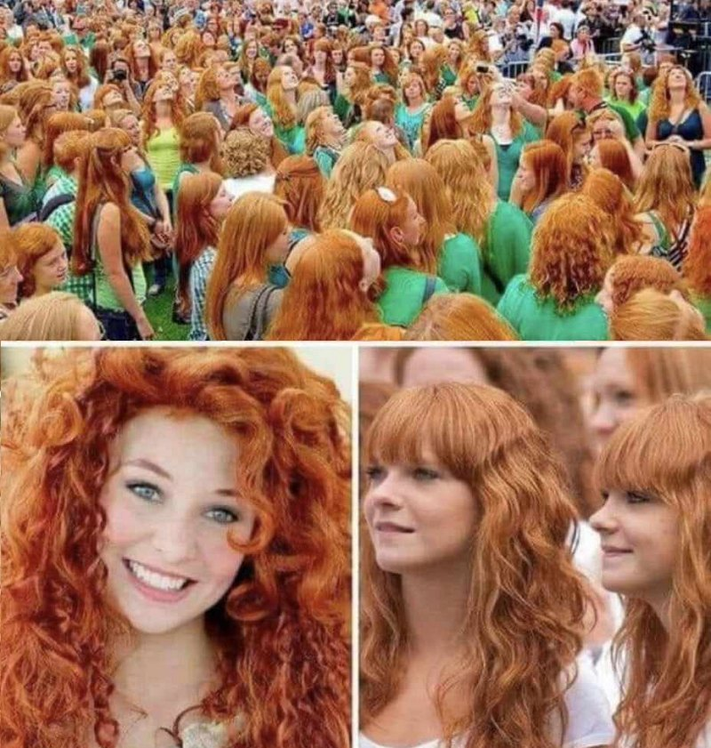 pierpi13's tweet photo. In Irlanda si tiene, ogni anno, il "raduno delle teste rosse". https://t.co/SOLyQJhV7g