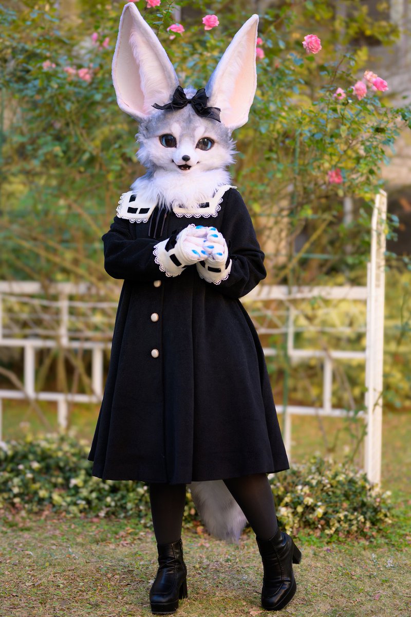 SABON_bi's tweet photo. 冬のバラも美しかったわ🌹

 #FursuitsFriday 
#FursuitEveryday
#Fursuit
#JMoF2025

写真: マキナさん(@cat_makina ) https://t.co/aP7BrCyjlD