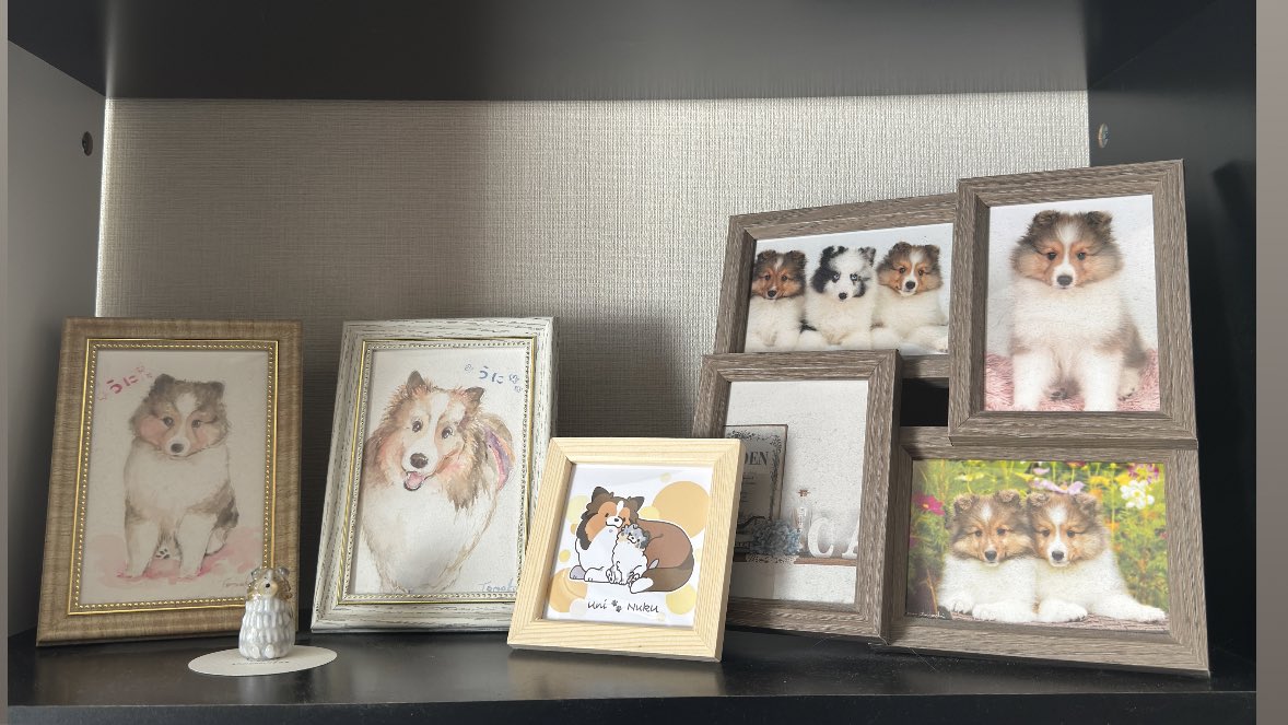 もっと充実させたい🥰