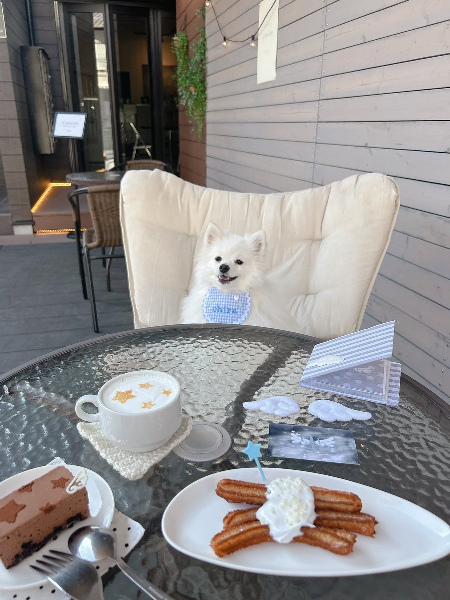 398Oyen's tweet photo. 最近友達とじゃなくて犬とカフェに行くことが増えて、改めて友達いないこと実感させられる🙂 https://t.co/8IZTS6JNqy