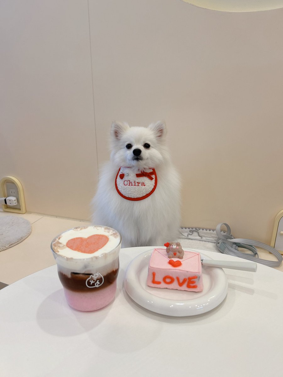398Oyen's tweet photo. 最近友達とじゃなくて犬とカフェに行くことが増えて、改めて友達いないこと実感させられる🙂 https://t.co/8IZTS6JNqy