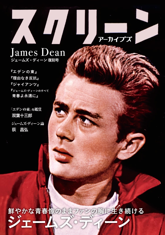 ジェームスディーンのカレンダー1994 持て余す