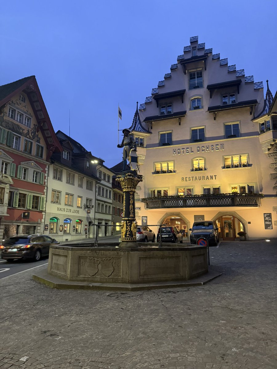 スイス着いて久々のツーク
相変わらず、なんの変哲もない静かな街。人より鳥の方が多く感じる。
イーサリアムからはじまり幾多のクリプト財団がここを拠点としてるのがいつも不思議だけど、それもクリプトらしいなと思う。