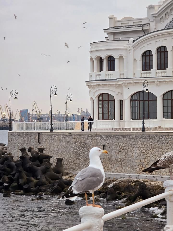 soz_media's tweet photo. Buna dimineata!🇷🇴
Gunaydin!🇹🇷
Visit .........CONSTANTA /Romanla
https://t.co/wzkKrGT61X
#Günaydın #morning #dimineata #day #zi #buna #goodmorning Söz Uyafa Romanya SOZ TV
Sozmedia https://t.co/H6TBvdt1DV