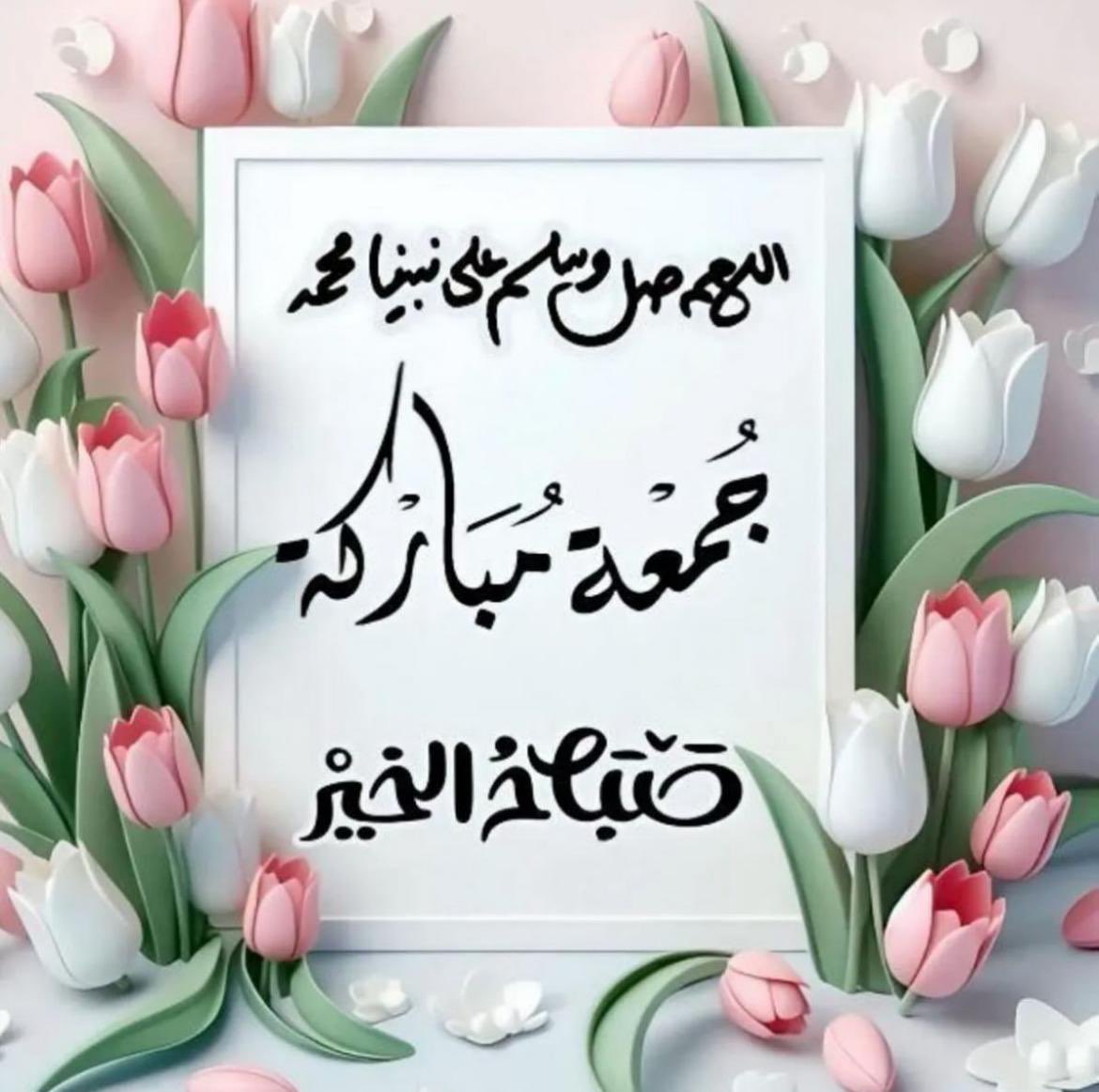 zoubaier baya 🇹🇳 (@zoubaier_baya) on Twitter photo 