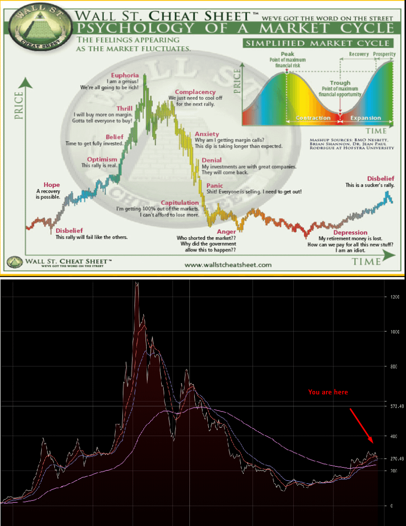 xRUSPx's tweet photo. Believe it or not but everybody is wrong and we are in #DISBELIEF stage✅:

❌ #BTC raised, not much other Alts = sucker rally
❌ Alts outperforming massively comparing to other cycles
❌ Fear is level is big
❌ Everyone we are in bear market

#ETH #SOL #TIA #JUP #ADA #PYTH #XRP https://t.co/Xghhj1ixxy