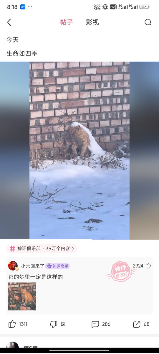 山巅的风 tweet media