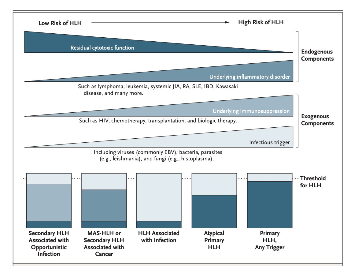 Faheema Hasan 🩸 🩺 tweet media