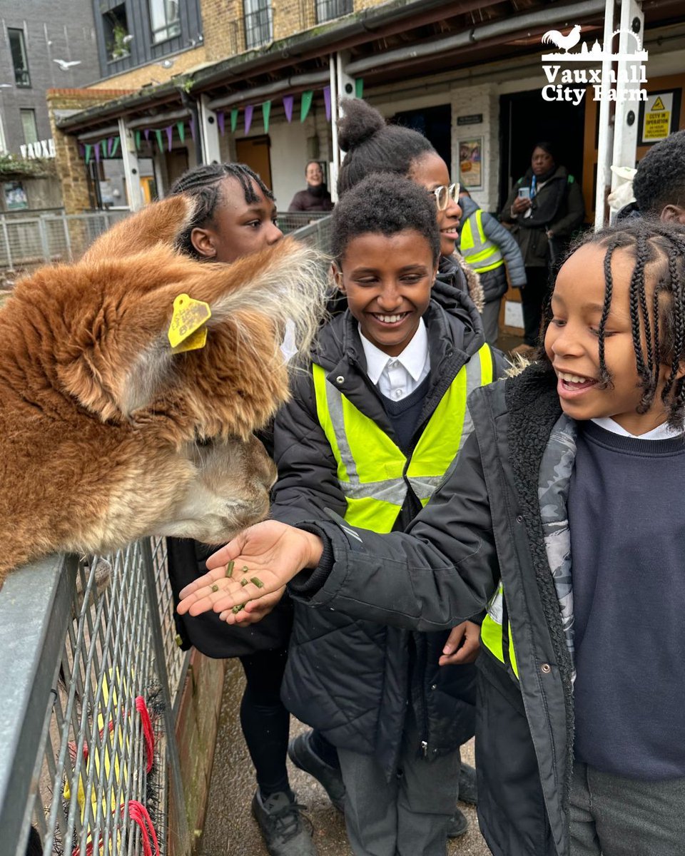 🌱  City Sprouts 🌱 Are you a teacher or youth worker looking for a unique experience for a group of young people, away from the stressors of daily life?

More info and book: vauxhallcityfarm.org/youth-programm…