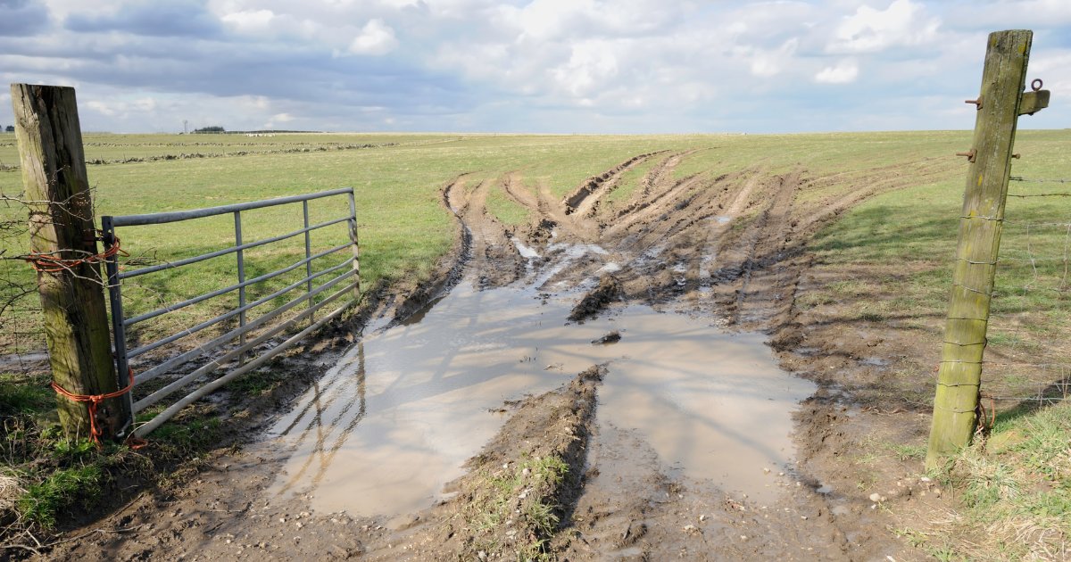 Muddy gateways causing chaos? 🌧️

Envar’s 100% British woodchip is a natural, cost-effective alternative to hardcore, perfect for durable surface covering. Supplied in 900-litre bulk bags or bulk loose loads.

Order now: ow.ly/OkkV50UUa2C

#MuddyGateways #Woodchip #Envar
