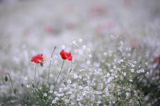 2025.02.07
감사🩷