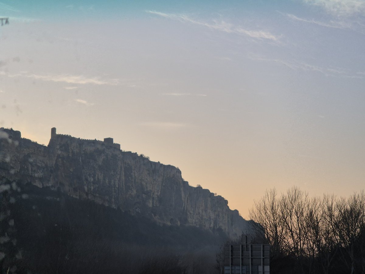 Tom d'Avignon tweet media