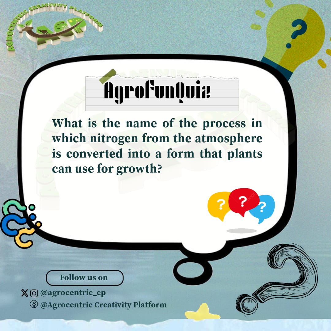 agrocentric_cp's tweet photo. Can you guess? ๐ค What is the name of the process in which nitrogen from the atmosphere is converted into a form that plants can use for growth? ๐ฑ๐ก
Take a guess and test your agro knowledge!
#AgroFunQuiz
#PlantGrowth
#Crops
#YouthsInAgriculture
#TrulyAgrocentric https://t.co/oa8OVjTbjQ