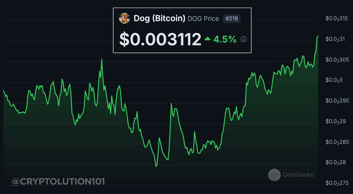 $DOG (Bitcoin) is about to get FUN.