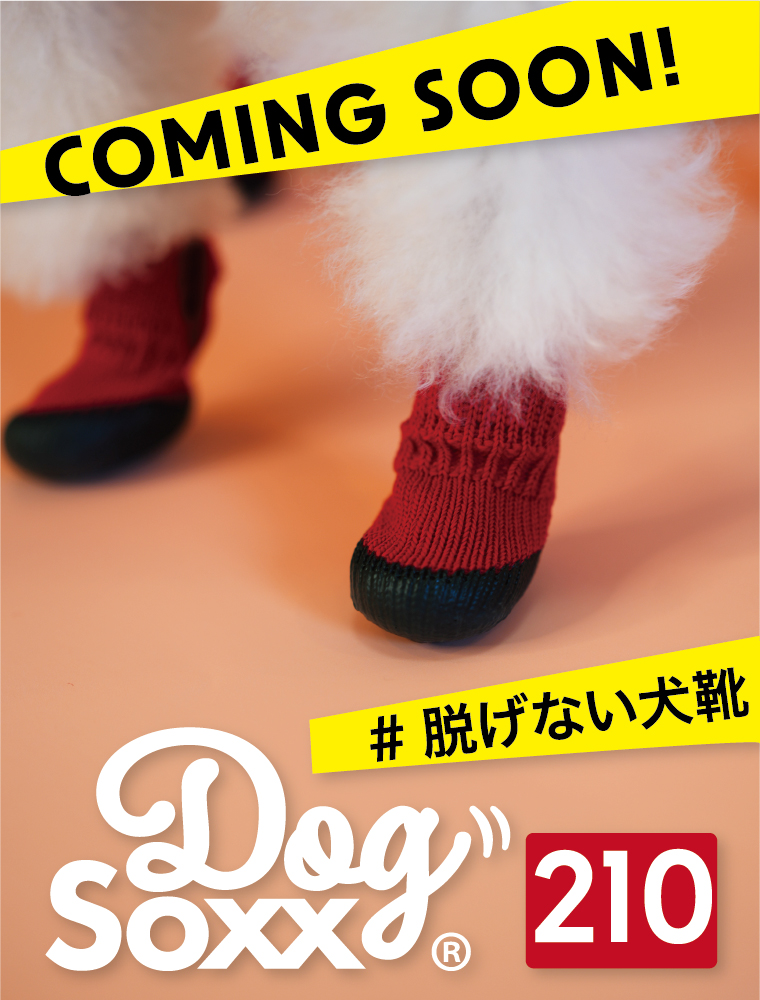 犬の靴屋さんDogSoxx®︎ (@dogsoxx) / Posts / X