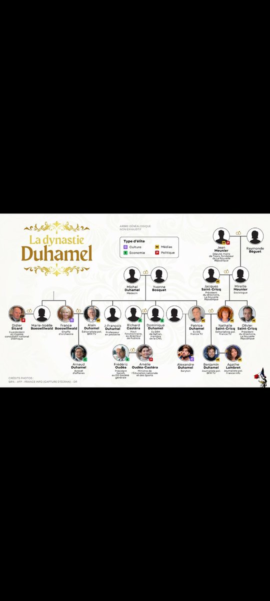 🇨🇵Nathalie Delalande🌿 tweet media