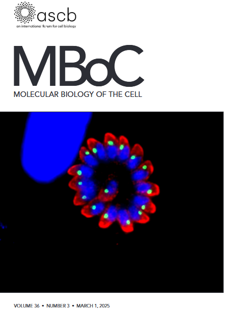 Sébastien Besteiro tweet media