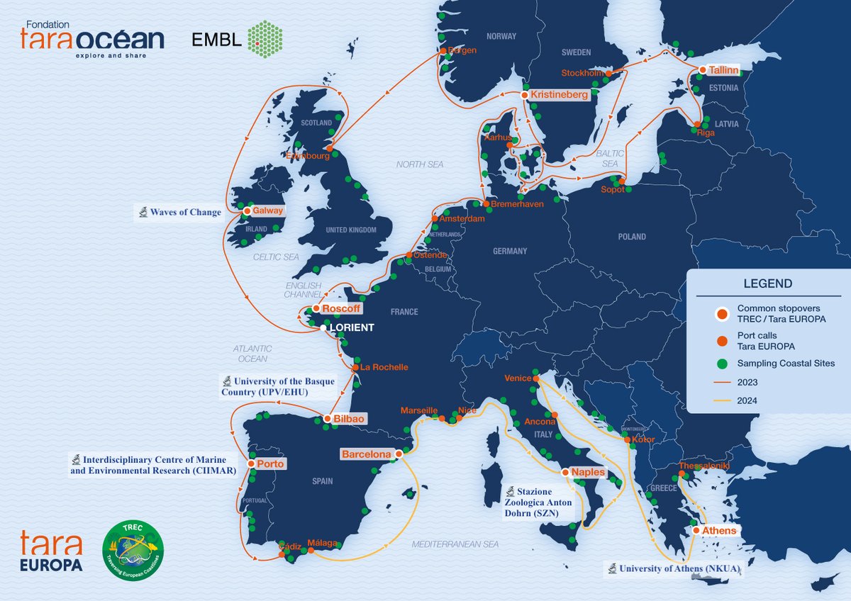 🌊Interweaving science and public engagement for a sustainable future🙋‍♀️🙋‍♂️

Discover the public outreach and engagement activities carried out within the framework of <a href="/BIOcean5/">BIOcean5D</a> during the <a href="/EMBLtrec/">EMBLtrec</a> – Tara Europa expedition thanks to <a href="/TaraOcean_/">Fondation Tara Océan</a> &amp; local partners

👇 link below!
