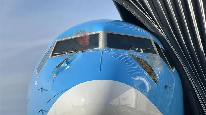 Americaredheart's tweet photo. La vida es días buenos y otros no tanto, pero en aeronáutica conocemos el poder de los vientos en contra B737-8 Max/ 185 mph 🌟✈️💙 #Birdstrike #aeronautics #tolearn https://t.co/CnJvLwlpVc