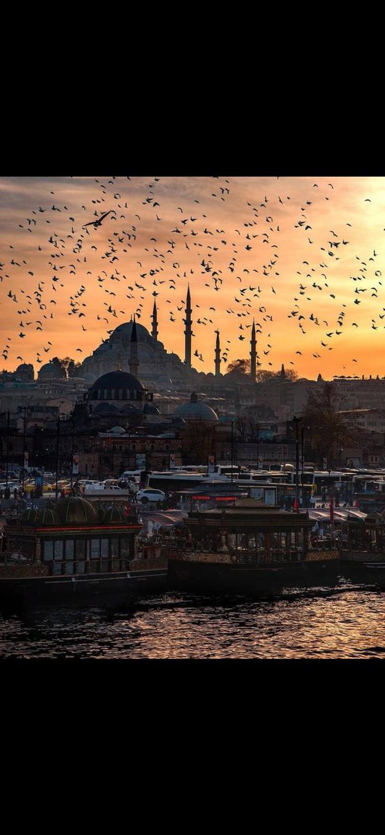 Bin bir telaşla sağa sola koşuştururken
güzel yüzünü hatırlamak için nefes alıyorum.
Hayatın bir sürü hengâmesinin içinde
gözlerini anımsamak için yaşıyorum.
Seni tekrar düşünebilmek için uyanıyorum  sabahları...